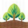 Reforestation Programs Icon